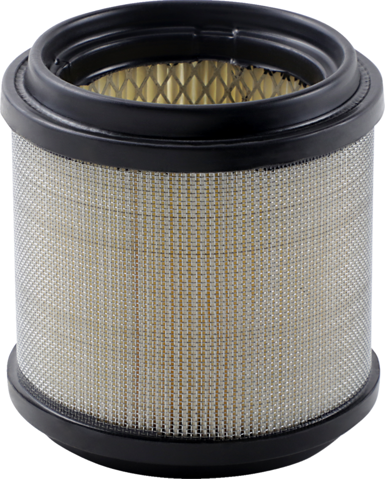 Air Filter - Polaris