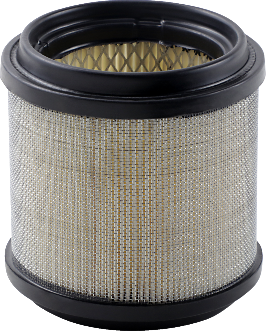 Air Filter - Polaris