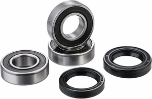 Wheel Bearing Kit - Rear