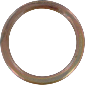 Exhaust Gasket