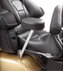 Passenger Armrest - GL1800