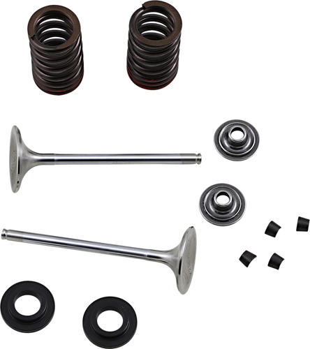 Exhaust Valve Kit