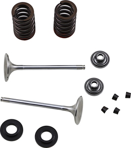 Exhaust Valve Kit