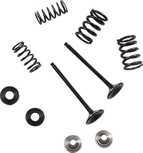 Valve and Spring Kit