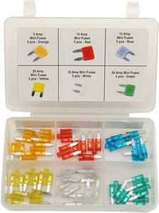 Fuse Assortment - Mini - LED - 30 Pack