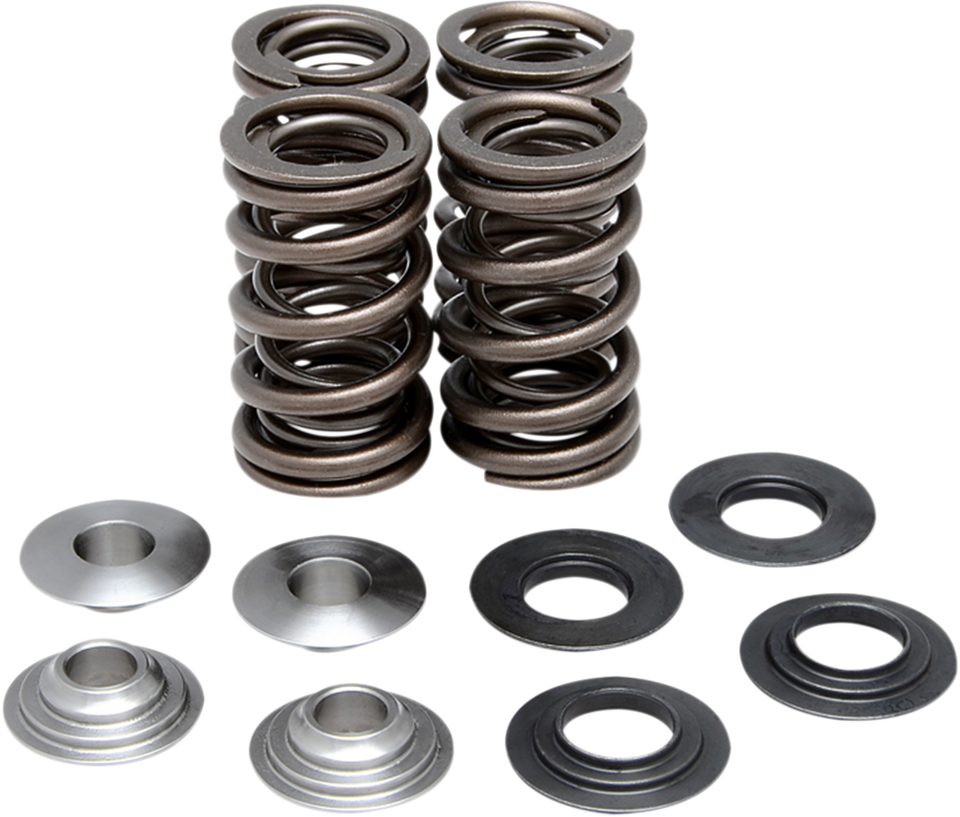 Valve Spring Kit