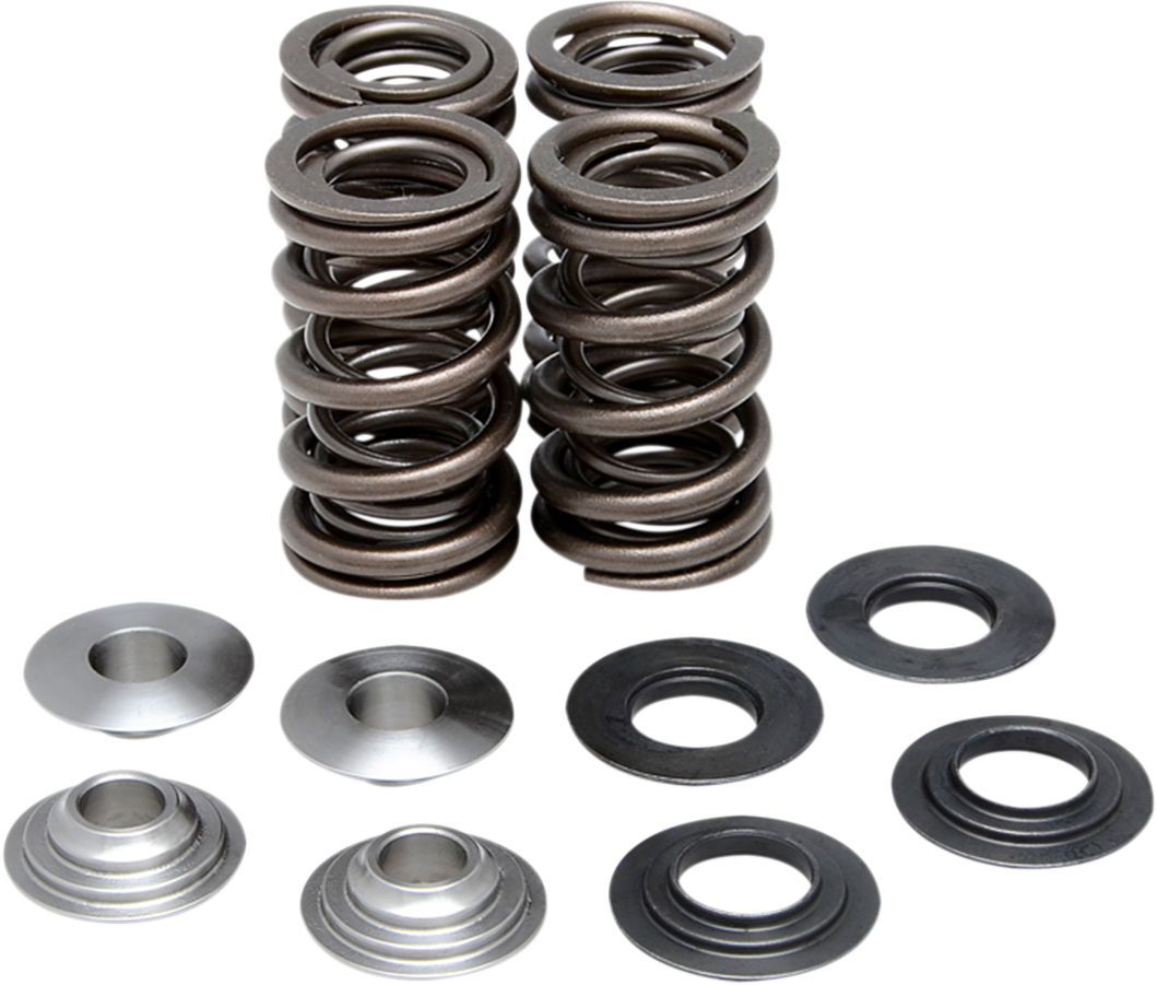 Valve Spring Kit