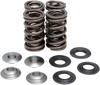 Valve Spring Kit