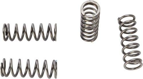 HD Clutch Springs - TTR125