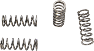 HD Clutch Springs - TTR125