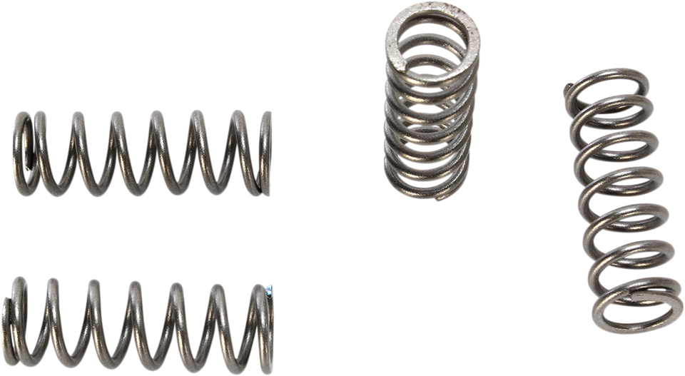 HD Clutch Springs - TTR125