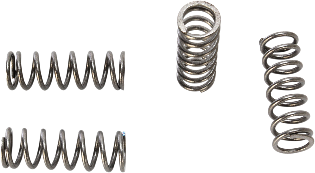 HD Clutch Springs - TTR125