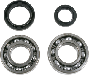 Crank Bearings and Seals - Suzuki