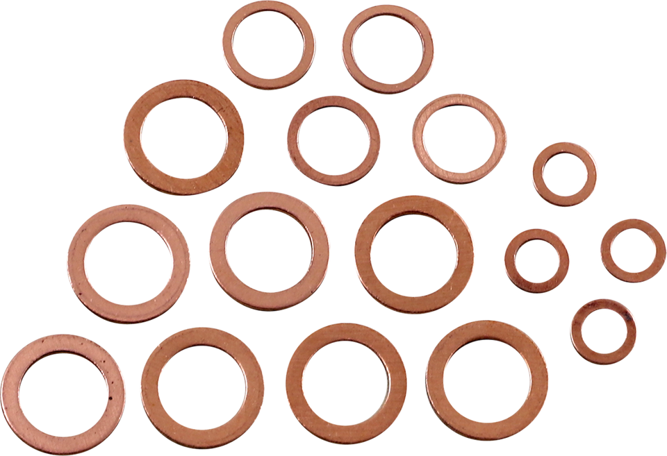 Drain Plug Washer Kit