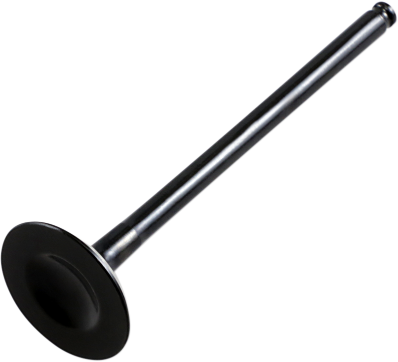 Exhaust Valve