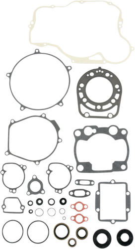 Motor Gasket Kit with Seal