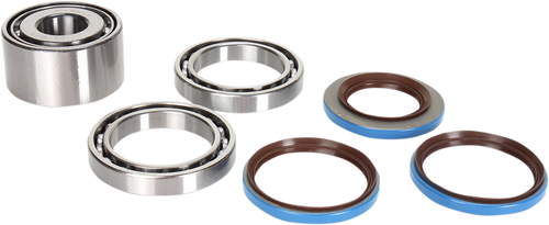 Differential Bearing/Seal Kit - Rear