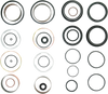 Fork Seal/Bushing Kit