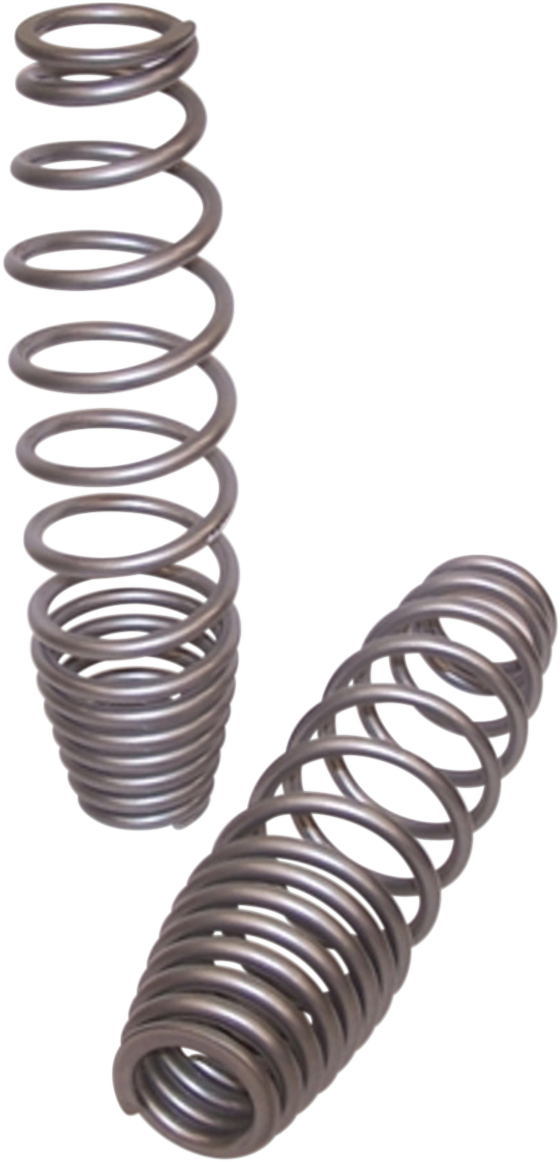 Front Shock Springs - Silver - Lutzka's Garage