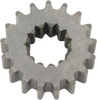 Standard Sprocket - 22-Tooth - Ski-Doo - Lutzka's Garage