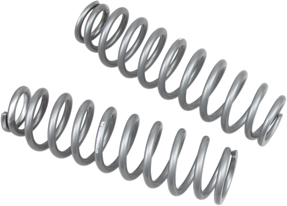 Rear Shock Springs - Silver - Lutzka's Garage