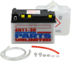 Battery - 6N11-2D