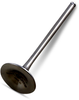 Exhaust Valve