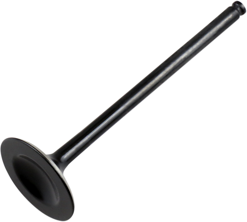 Exhaust Valve