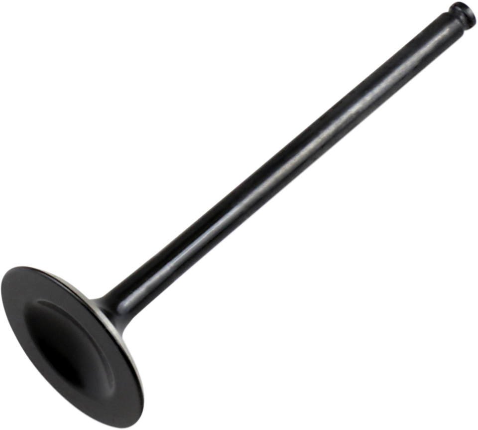 Exhaust Valve