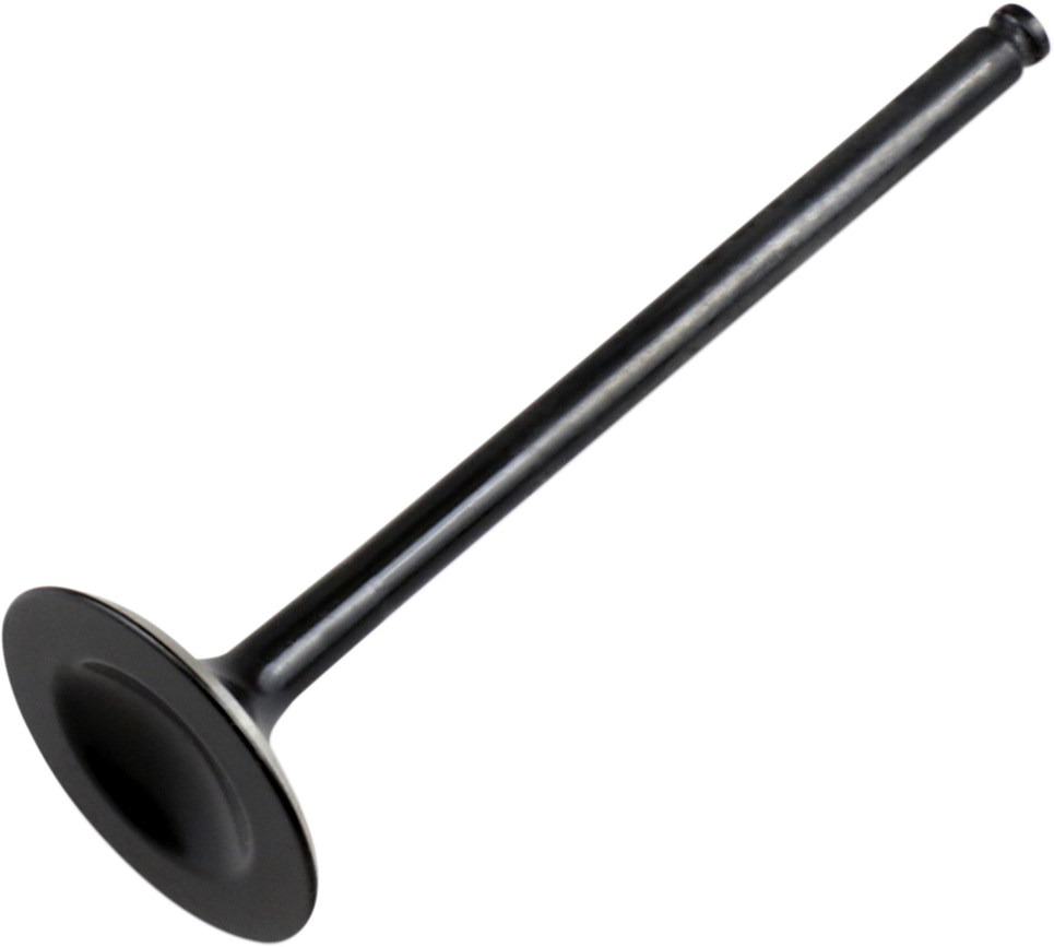 Exhaust Valve