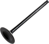 Exhaust Valve