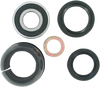 Steering Stem Bearing Kit