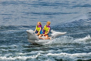 Dolphin Riding Tube - Towable