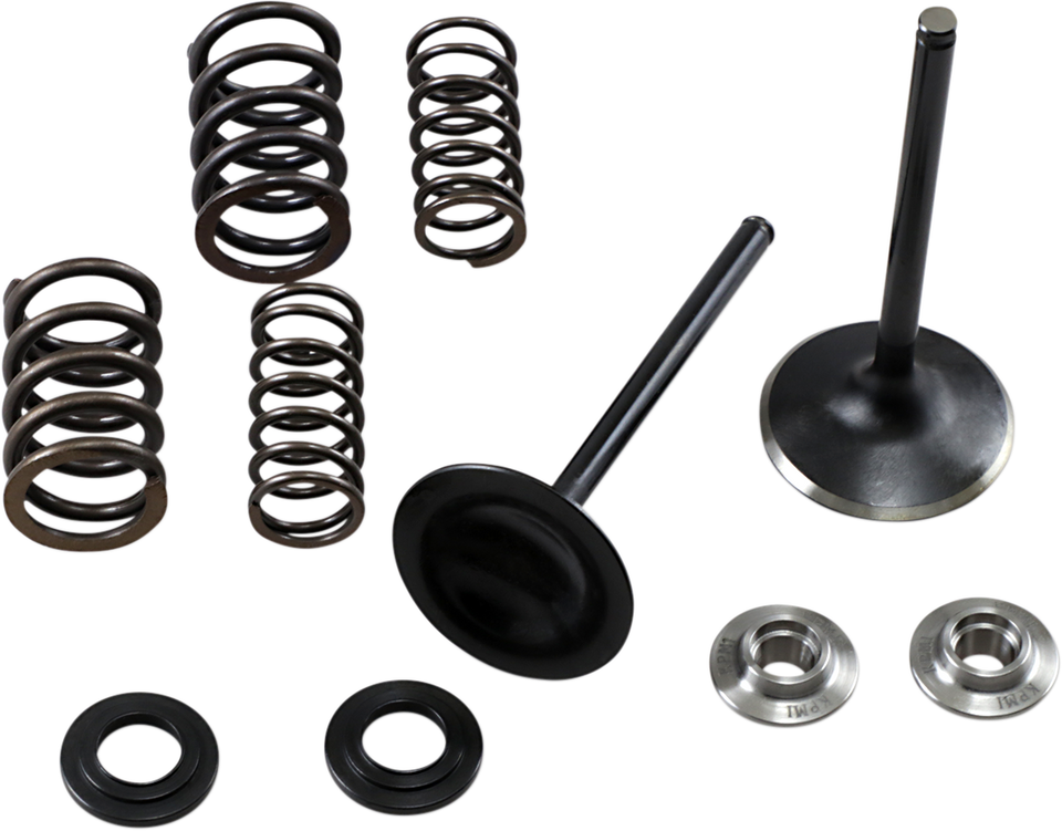 Intake Spring Kit