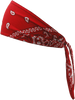 Old School Bandana - Traditional Red Paisley