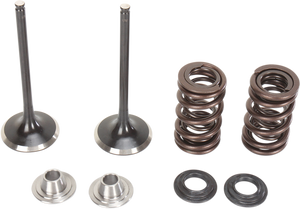 Intake Valve Kit