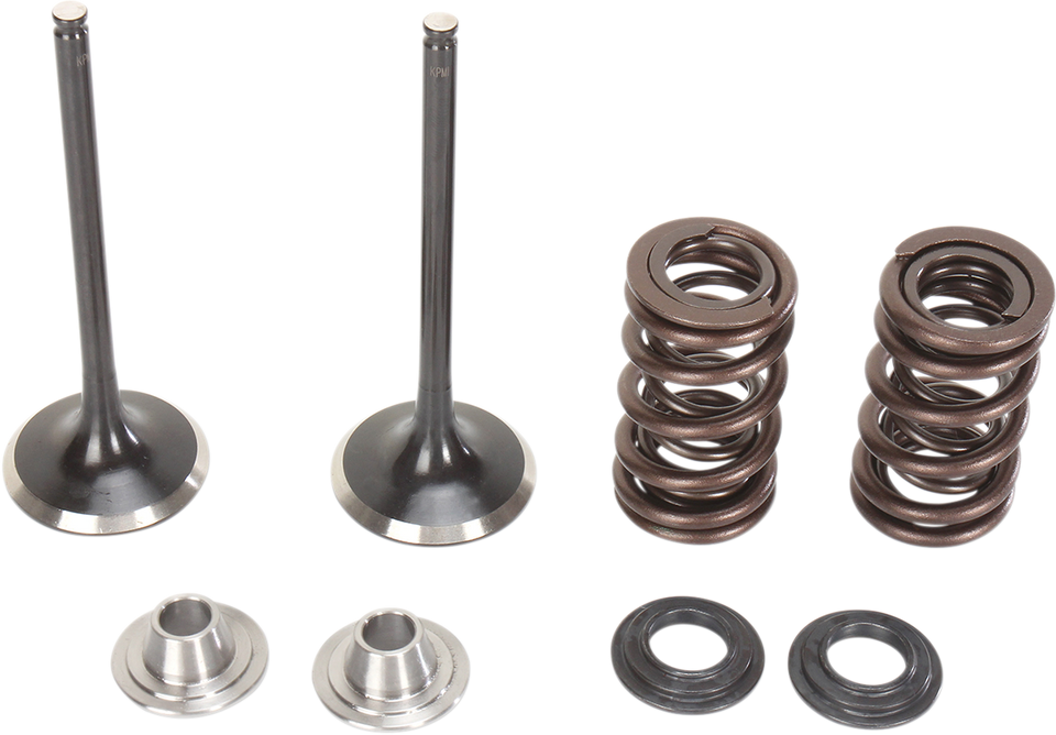 Intake Valve Kit