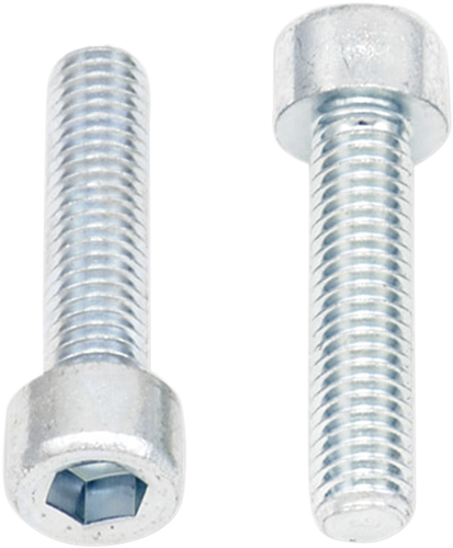 Allen Bolts - Socket-Head - M6 x 25 - 10-Pack