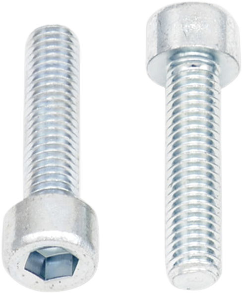 Allen Bolts - Socket-Head - M6 x 25 - 10-Pack