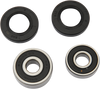 Wheel Bearing Kit - Rear