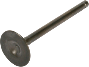 Intake Valve