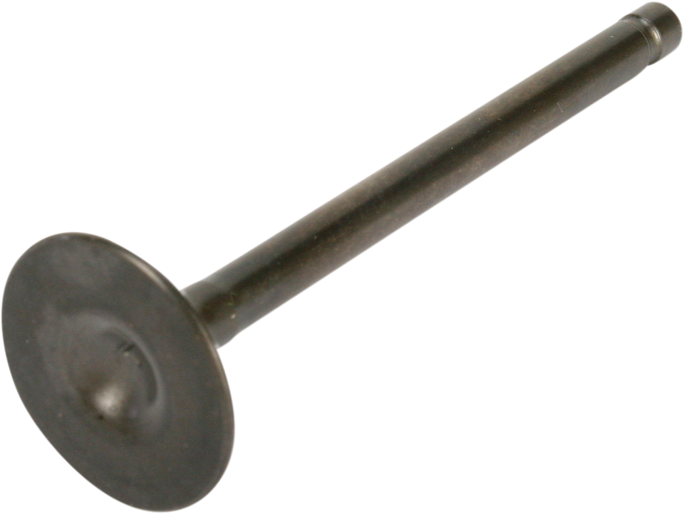 Intake Valve