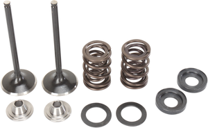 Intake Valve Kit