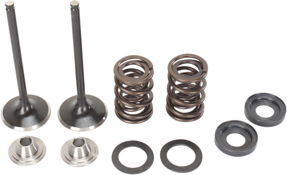 Intake Valve Kit