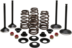 Complete Valve Kit - Evolution/1200