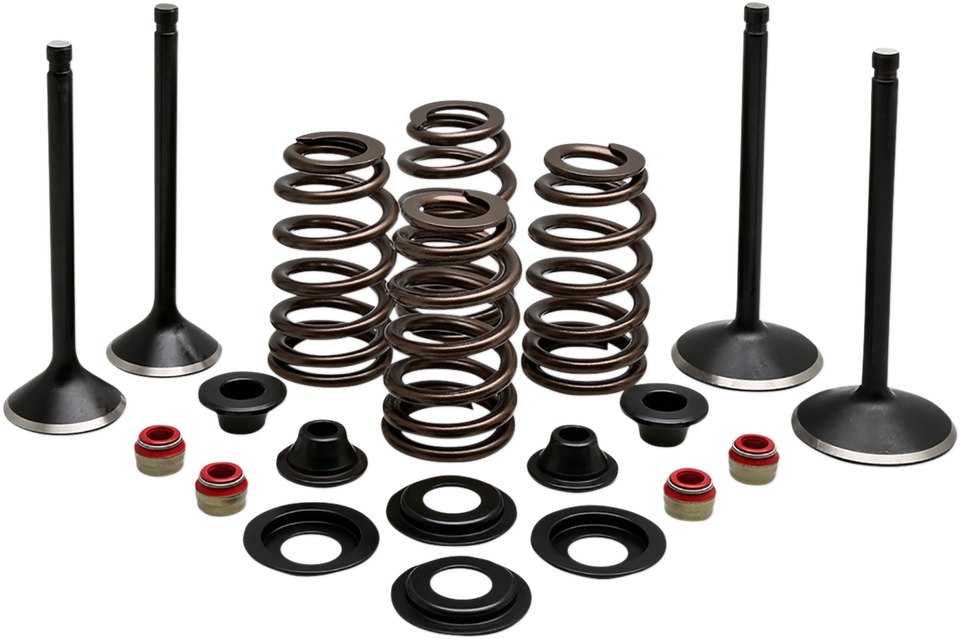 Complete Valve Kit - Evolution/1200