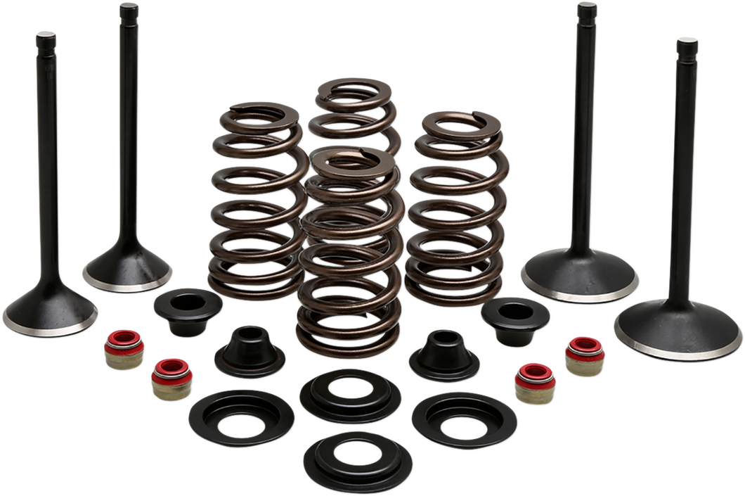 Complete Valve Kit - Evolution/1200