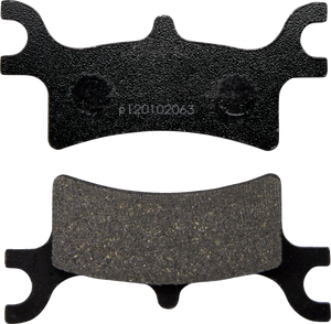 Qualifier Brake Pads - Polaris