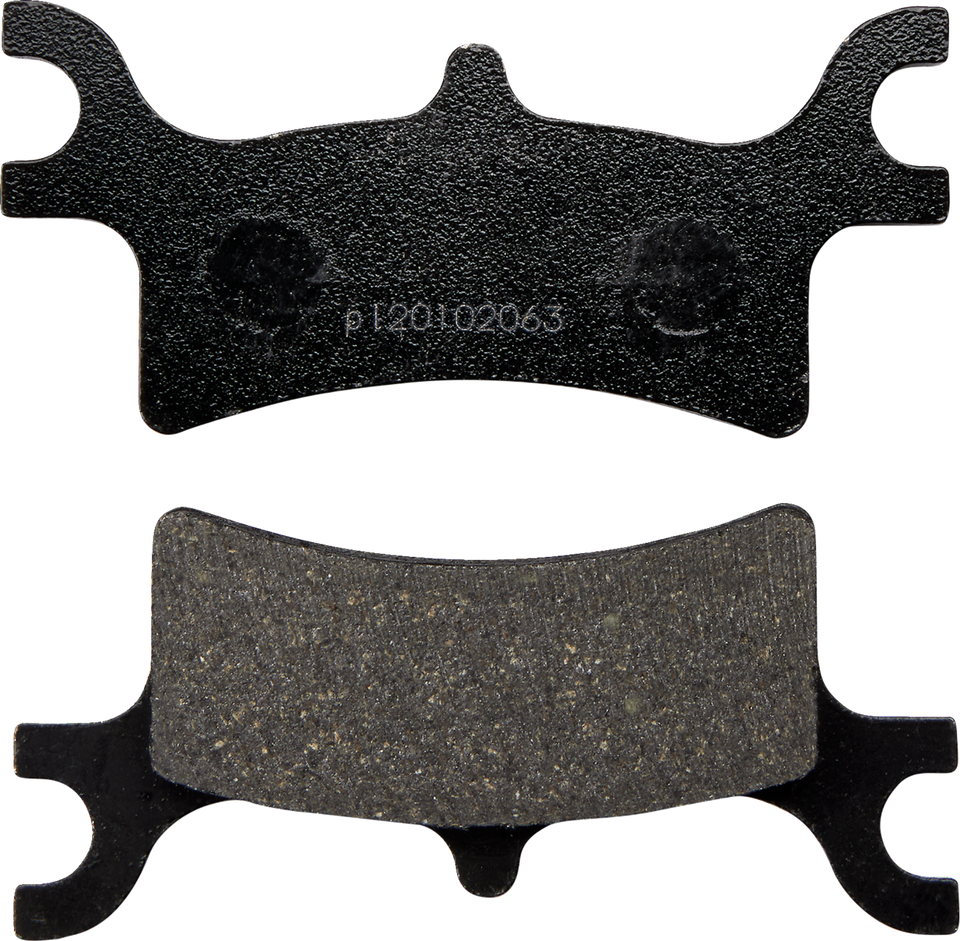 Qualifier Brake Pads - Polaris