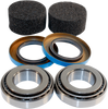 Rear Swingarm Bushing Kit